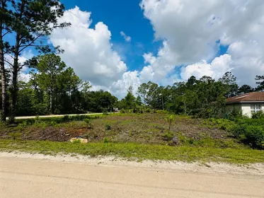 DELAND FL Property