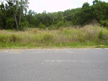 KISSIMMEE FL Property