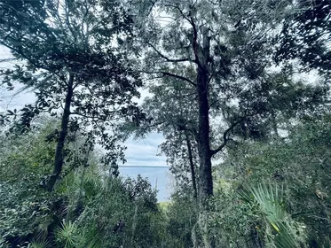 FORT MC COY FL Property
