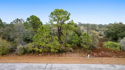 POINCIANA FL Property