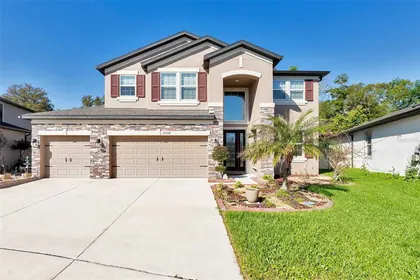 WESLEY CHAPEL FL Home