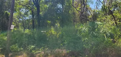 NEW PORT RICHEY FL Property