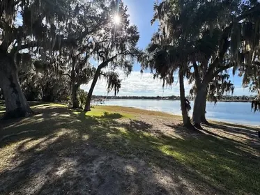 SALT SPRINGS FL Property