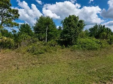 NORTH PORT FL Property