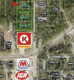MOUNT PLYMOUTH FL Property
