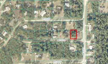 SALT SPRINGS FL Property
