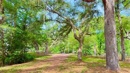 MIDDLEBURG FL Property