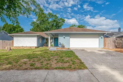 LUTZ FL Home