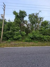 NEW PORT RICHEY FL Property