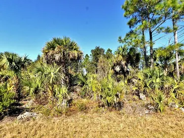 NORTH PORT FL Property