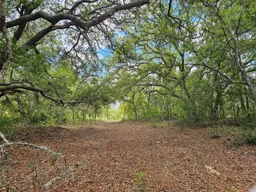 DUNNELLON FL Property