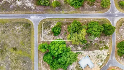 OCKLAWAHA FL Property