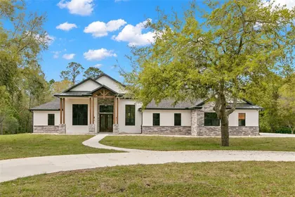ODESSA FL Home
