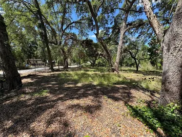 DADE CITY FL Property