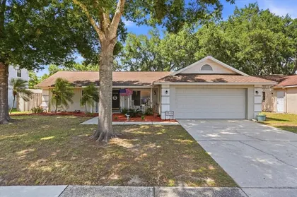 VALRICO FL Home
