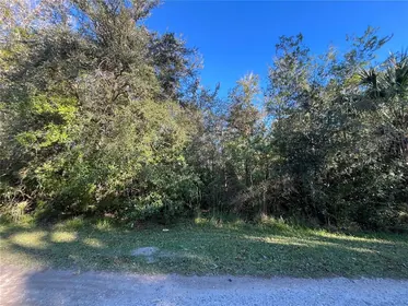 HOMOSASSA FL Property