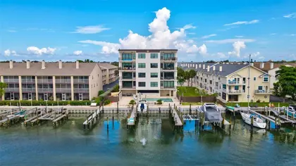 TIERRA VERDE FL Home