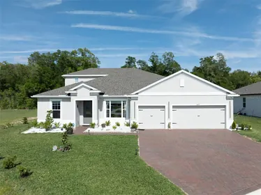 MOUNT DORA FL Home