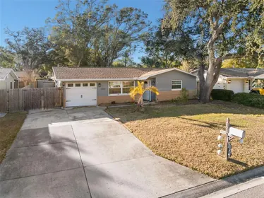 DUNEDIN FL Home
