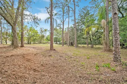 CHRISTMAS FL Property