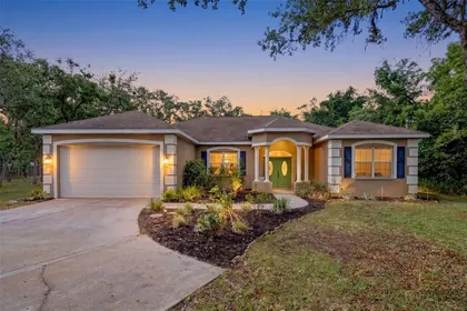 WEEKI WACHEE FL Home