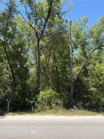 WILLISTON FL Property
