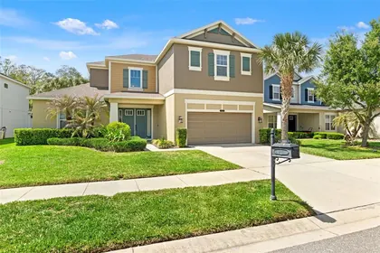 LAND O LAKES FL Home