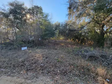 INTERLACHEN FL Property