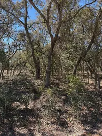 DUNNELLON FL Property