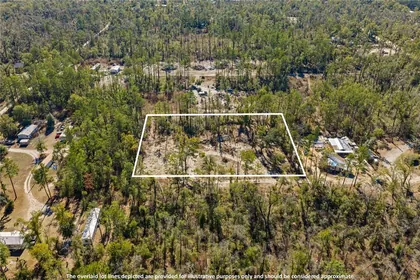 LIVE OAK FL Property