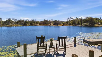 ODESSA FL Property