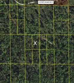 LAKE WALES FL Property
