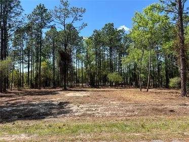 DUNNELLON FL Property