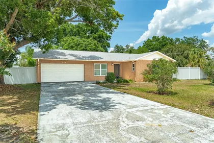 SEFFNER FL Home