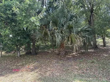 ORANGE CITY FL Property