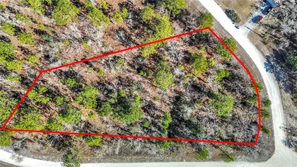 WEEKI WACHEE FL Property