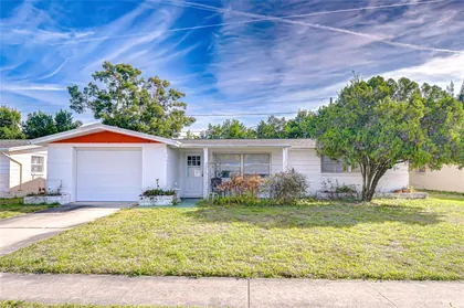 HOLIDAY FL Home