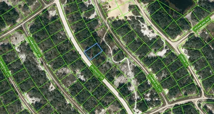 LAKE PLACID FL Property