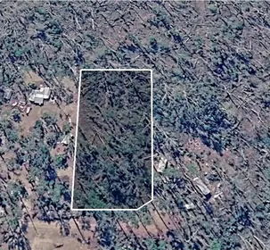 PERRY FL Property