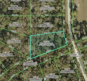 BROOKSVILLE FL Property