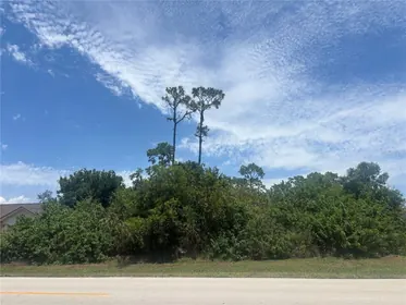 PUNTA GORDA FL Property