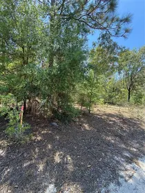 BRONSON FL Property