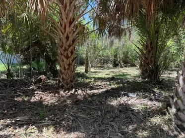 FLAGLER BEACH FL Property