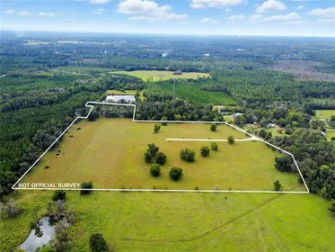 LIVE OAK FL Property