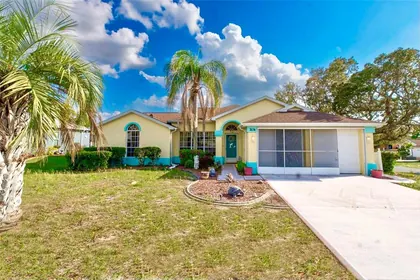 SPRING HILL FL Home