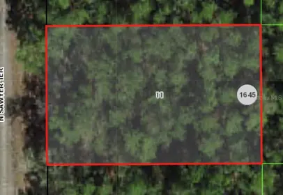 DUNNELLON FL Property