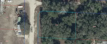 WILLISTON FL Property