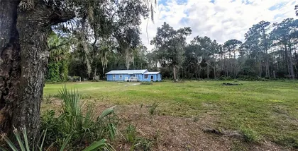GEORGETOWN FL Home