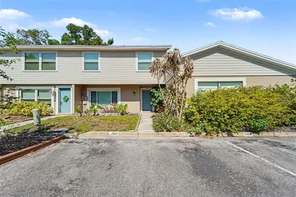 LUTZ FL Home