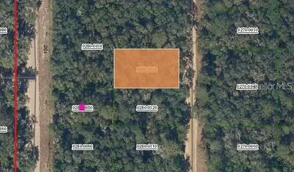 INTERLACHEN FL Property